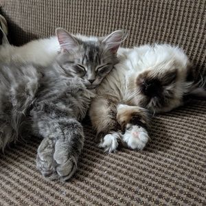 Meet your Posher, Kayla